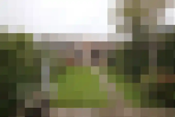 Snekerstraat 77 Bolsward thumbnail 24