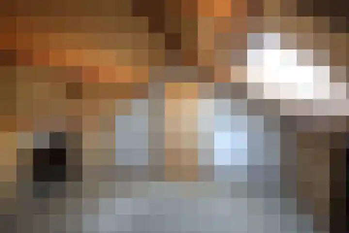 Snekerstraat 77 Bolsward thumbnail 34