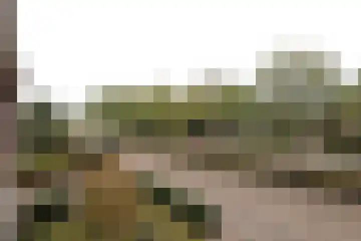 Snekerstraat 77 Bolsward thumbnail 7