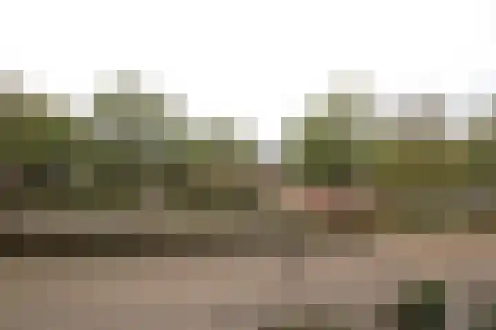 Snekerstraat 77 Bolsward thumbnail 9