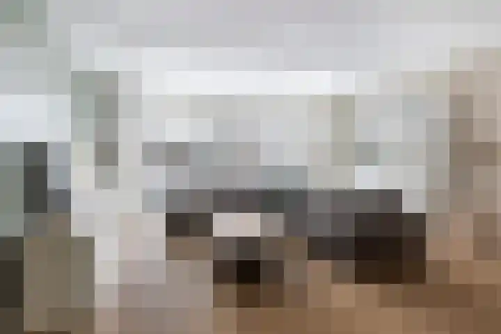 Snekerveste 27 Nieuwegein thumbnail 10