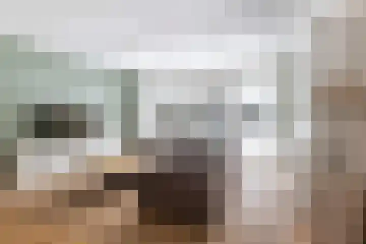 Snekerveste 27 Nieuwegein thumbnail 11
