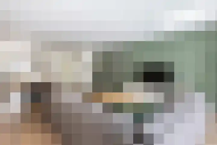 Snekerveste 27 Nieuwegein thumbnail 13