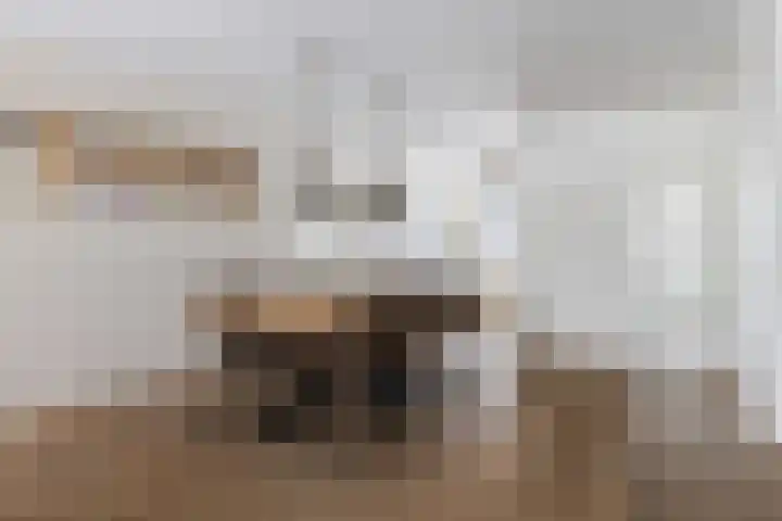 Snekerveste 27 Nieuwegein thumbnail 14