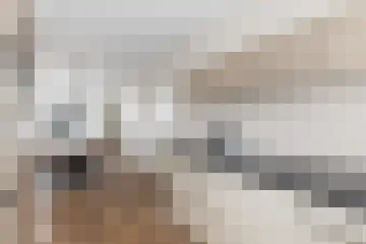 Snekerveste 27 Nieuwegein thumbnail 17
