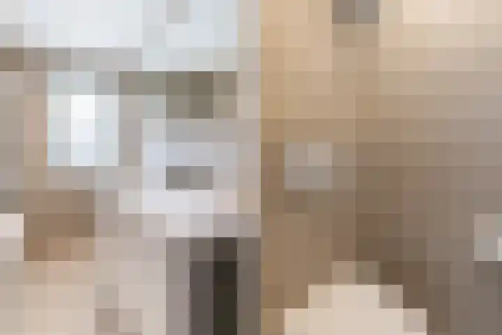 Snekerveste 27 Nieuwegein thumbnail 25