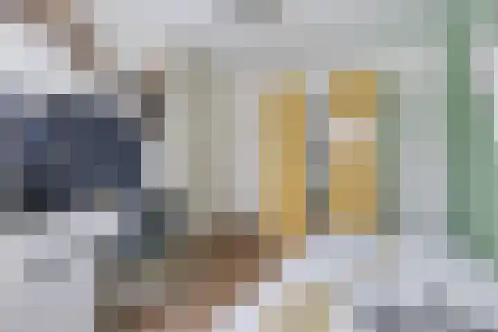 Snekerveste 27 Nieuwegein thumbnail 28