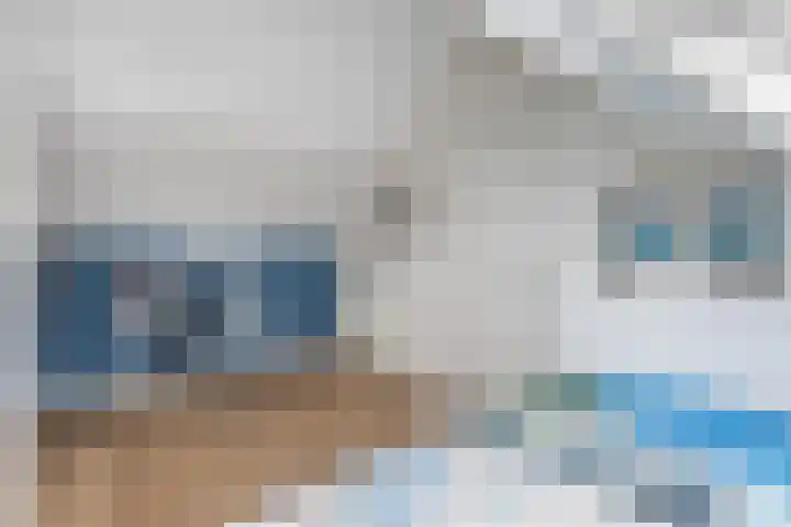 Snekerveste 27 Nieuwegein thumbnail 33