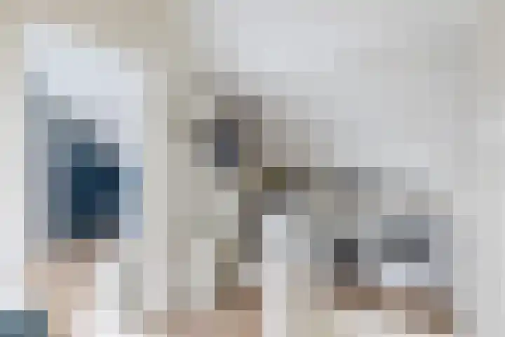 Snekerveste 27 Nieuwegein thumbnail 34