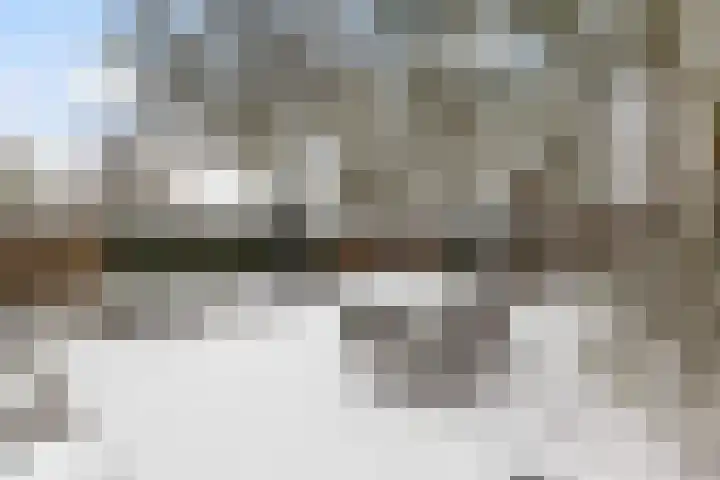 Snekerveste 27 Nieuwegein thumbnail 36