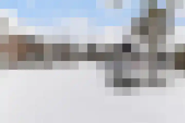 Snekerveste 27 Nieuwegein thumbnail 41