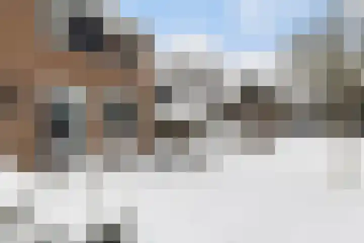 Snekerveste 27 Nieuwegein thumbnail 6