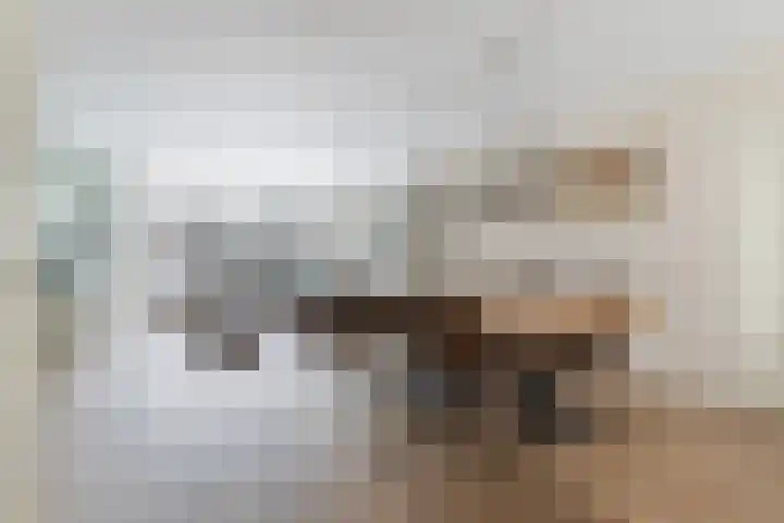 Snekerveste 27 Nieuwegein thumbnail 8