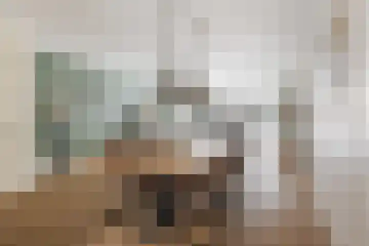 Snekerveste 27 Nieuwegein thumbnail 9