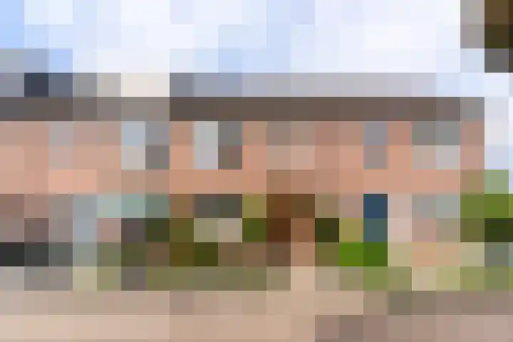 Snekerveste 4 dans Nieuwegein