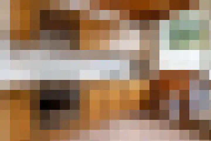 Snekerveste 4 Nieuwegein thumbnail 11
