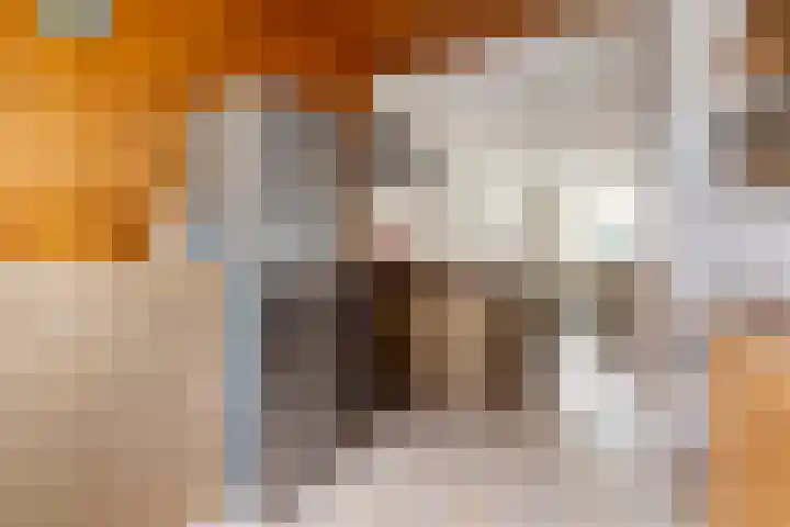 Snekerveste 4 Nieuwegein thumbnail 13