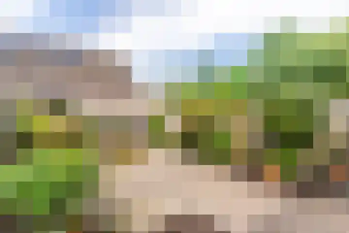 Snekerveste 4 Nieuwegein thumbnail 14
