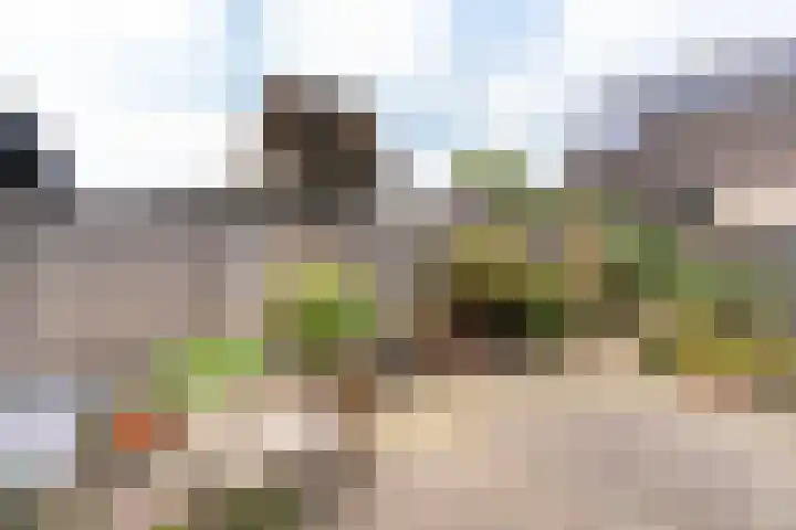 Snekerveste 4 Nieuwegein thumbnail 15