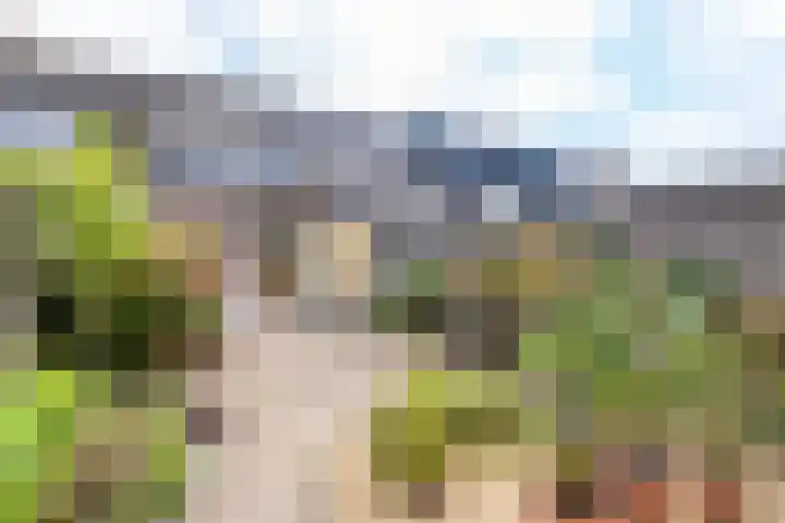 Snekerveste 4 Nieuwegein thumbnail 16