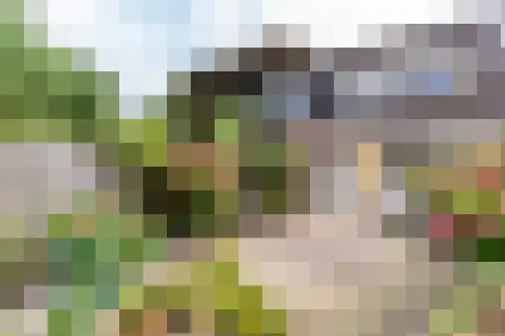 Snekerveste 4 Nieuwegein thumbnail 17