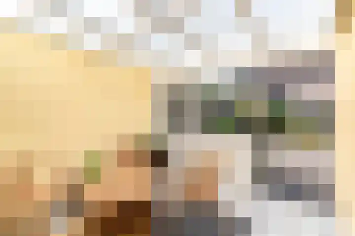 Snekerveste 4 Nieuwegein thumbnail 18