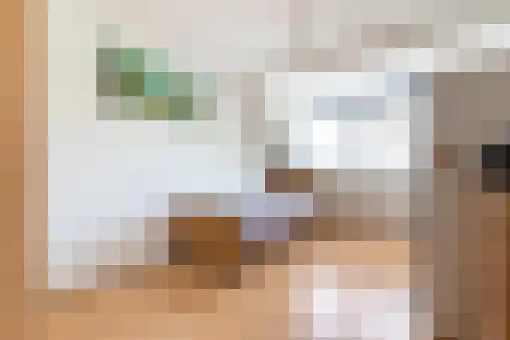 Snekerveste 4 Nieuwegein thumbnail 21