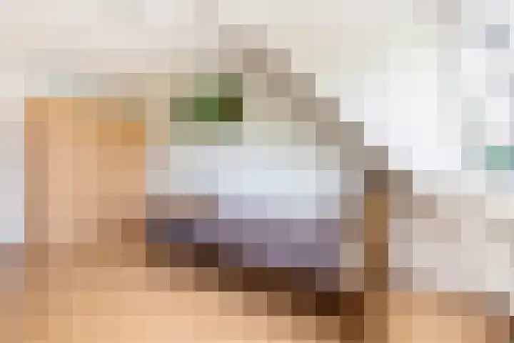 Snekerveste 4 Nieuwegein thumbnail 22