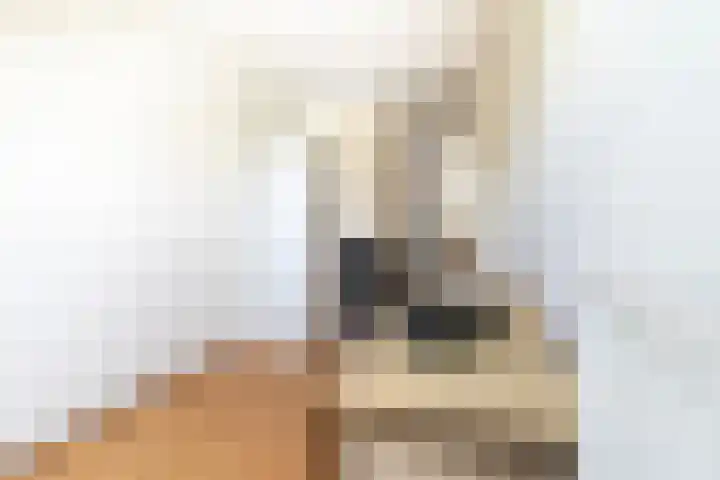 Snekerveste 4 Nieuwegein thumbnail 24