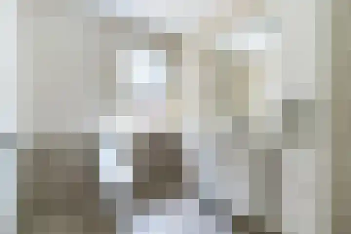 Snekerveste 4 Nieuwegein thumbnail 26