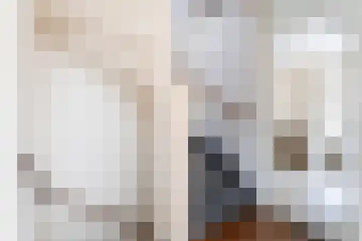 Snekerveste 4 Nieuwegein thumbnail 28