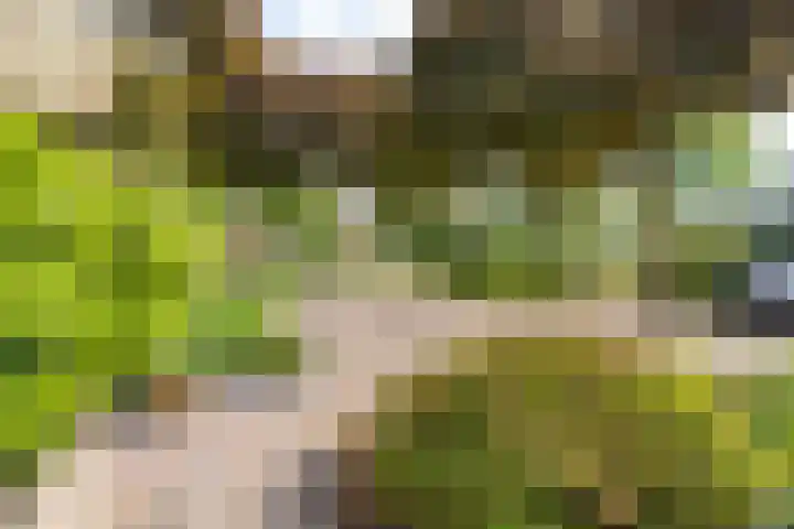 Snekerveste 4 Nieuwegein thumbnail 34