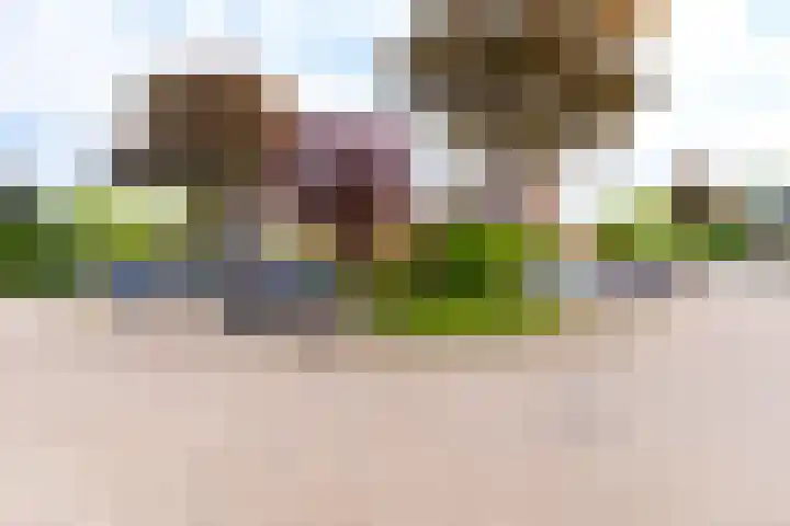 Snekerveste 4 Nieuwegein thumbnail 39