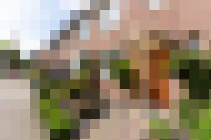 Snekerveste 4 Nieuwegein thumbnail 4