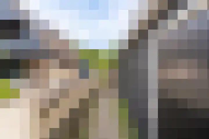 Snekerveste 4 Nieuwegein thumbnail 40