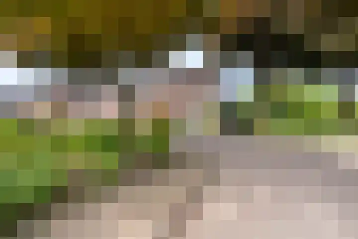 Snekerveste 4 Nieuwegein thumbnail 41