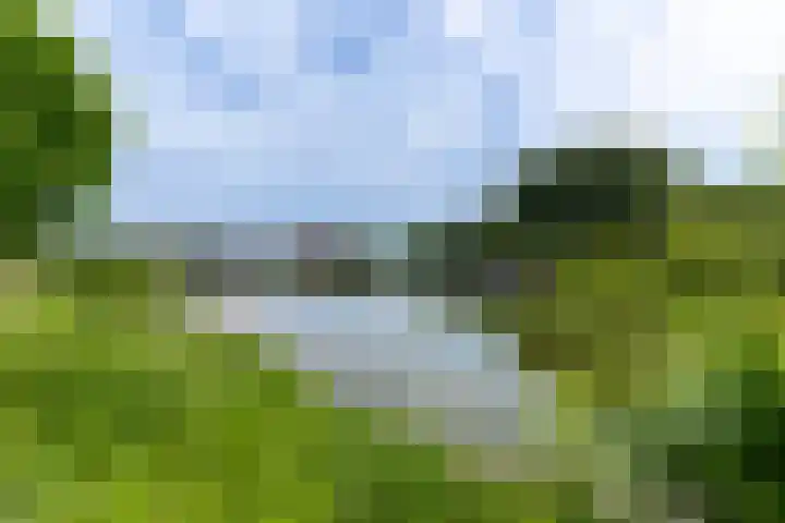 Snekerveste 4 Nieuwegein thumbnail 43