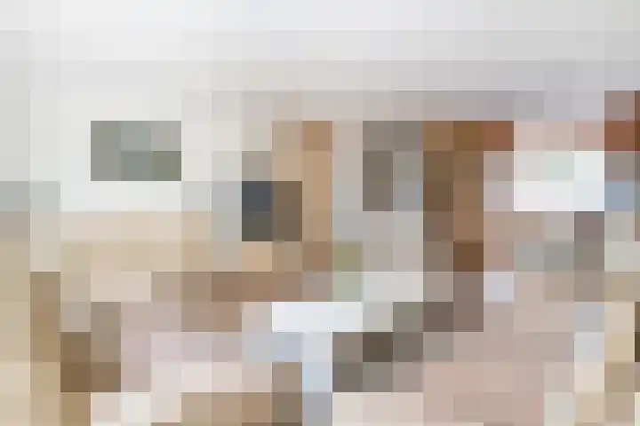 Snekerveste 4 Nieuwegein thumbnail 7