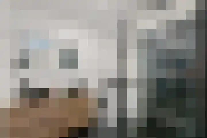 Snelfilterweg 119 Rotterdam thumbnail 19