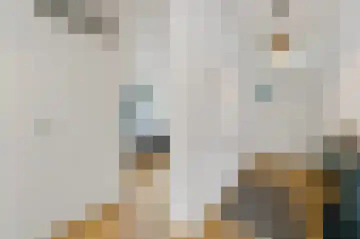 Snelfilterweg 119 Rotterdam thumbnail 22