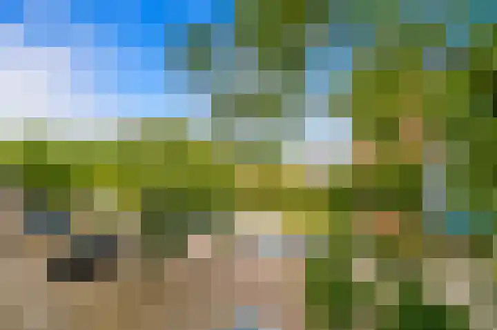 Snelfilterweg 119 Rotterdam thumbnail 26