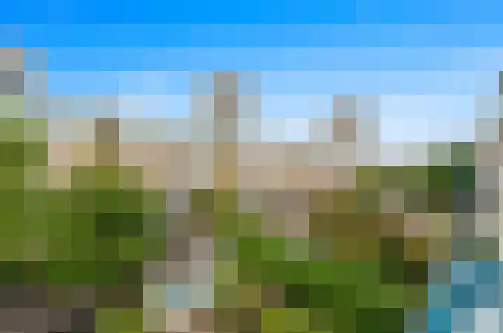 Snelfilterweg 119 Rotterdam thumbnail 9