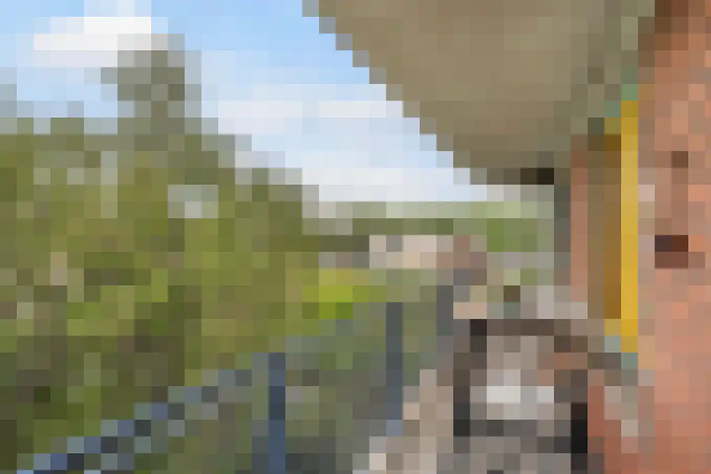 Snelfilterweg 12 Rotterdam thumbnail 17