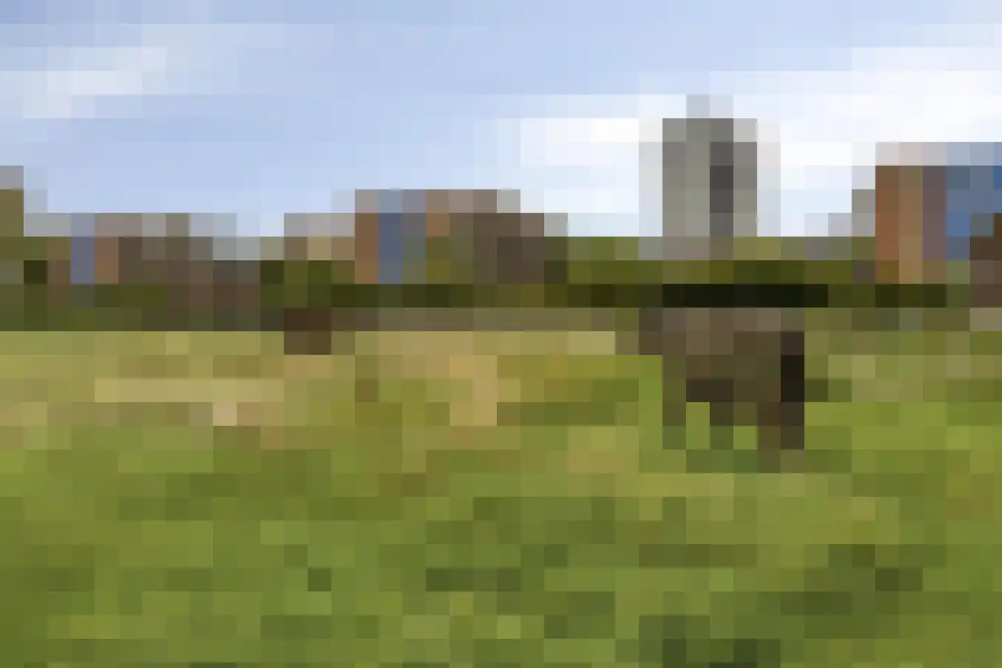 Snelfilterweg 129 Rotterdam thumbnail 28