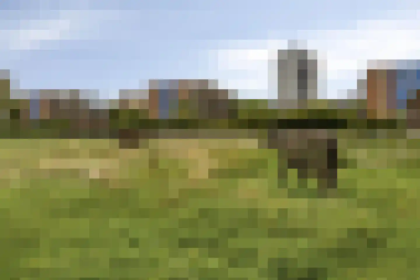 Snelfilterweg 129 Rotterdam thumbnail 29
