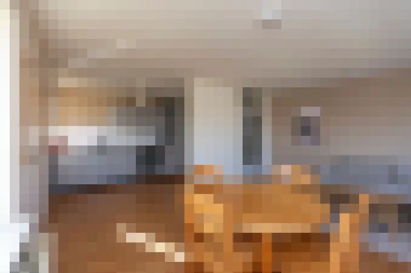 Snelfilterweg 136 Rotterdam thumbnail 4