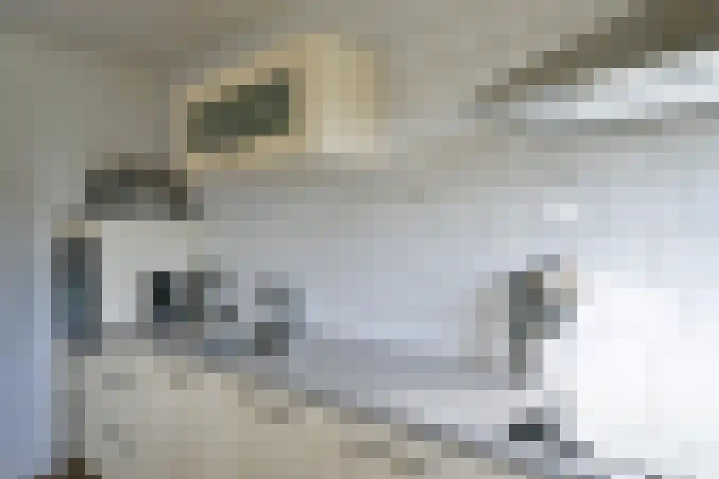 Snelfilterweg 174 Rotterdam thumbnail 19