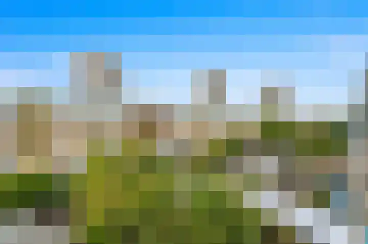 Snelfilterweg 183 Rotterdam thumbnail 22
