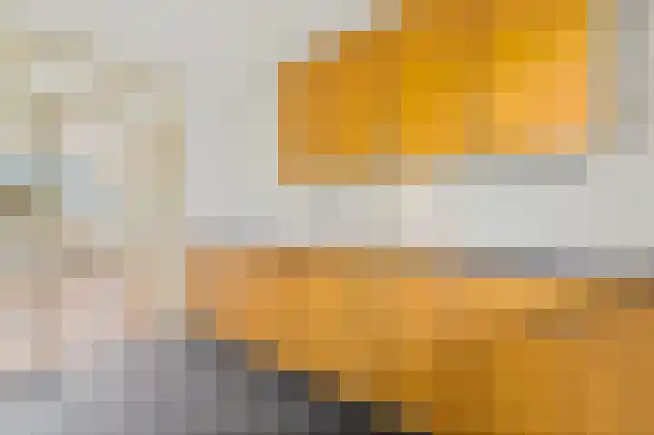 Snelfilterweg 183 Rotterdam thumbnail 7