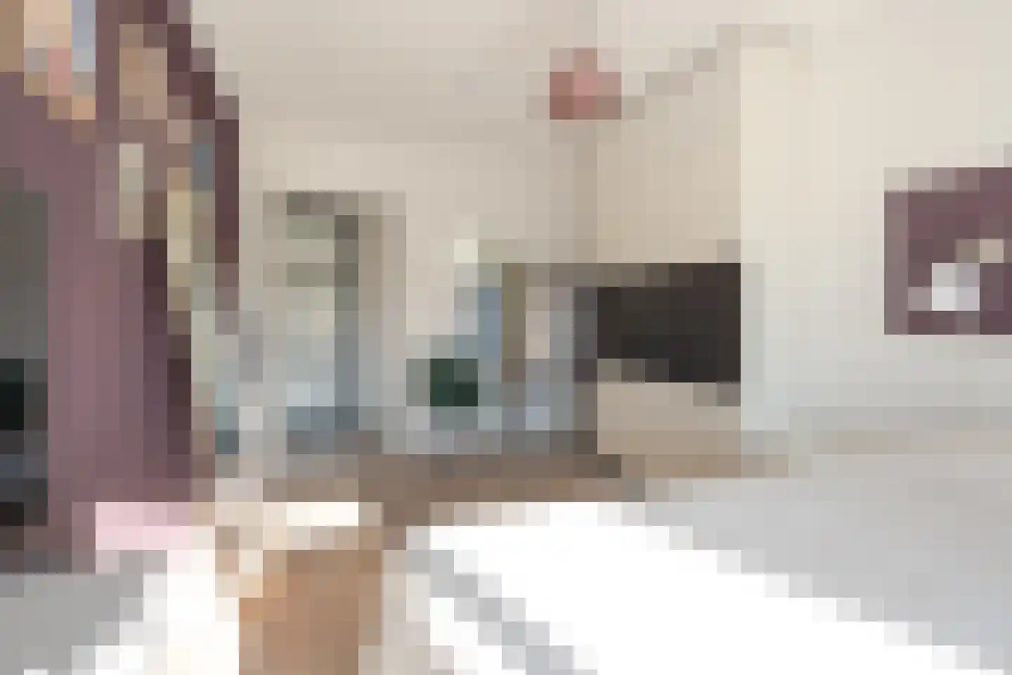 Snelfilterweg 60 Rotterdam thumbnail 32